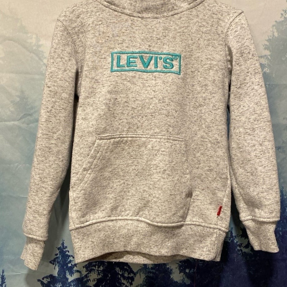 Boys / Girls Grey Levi's Hoodie size 4 xs‎